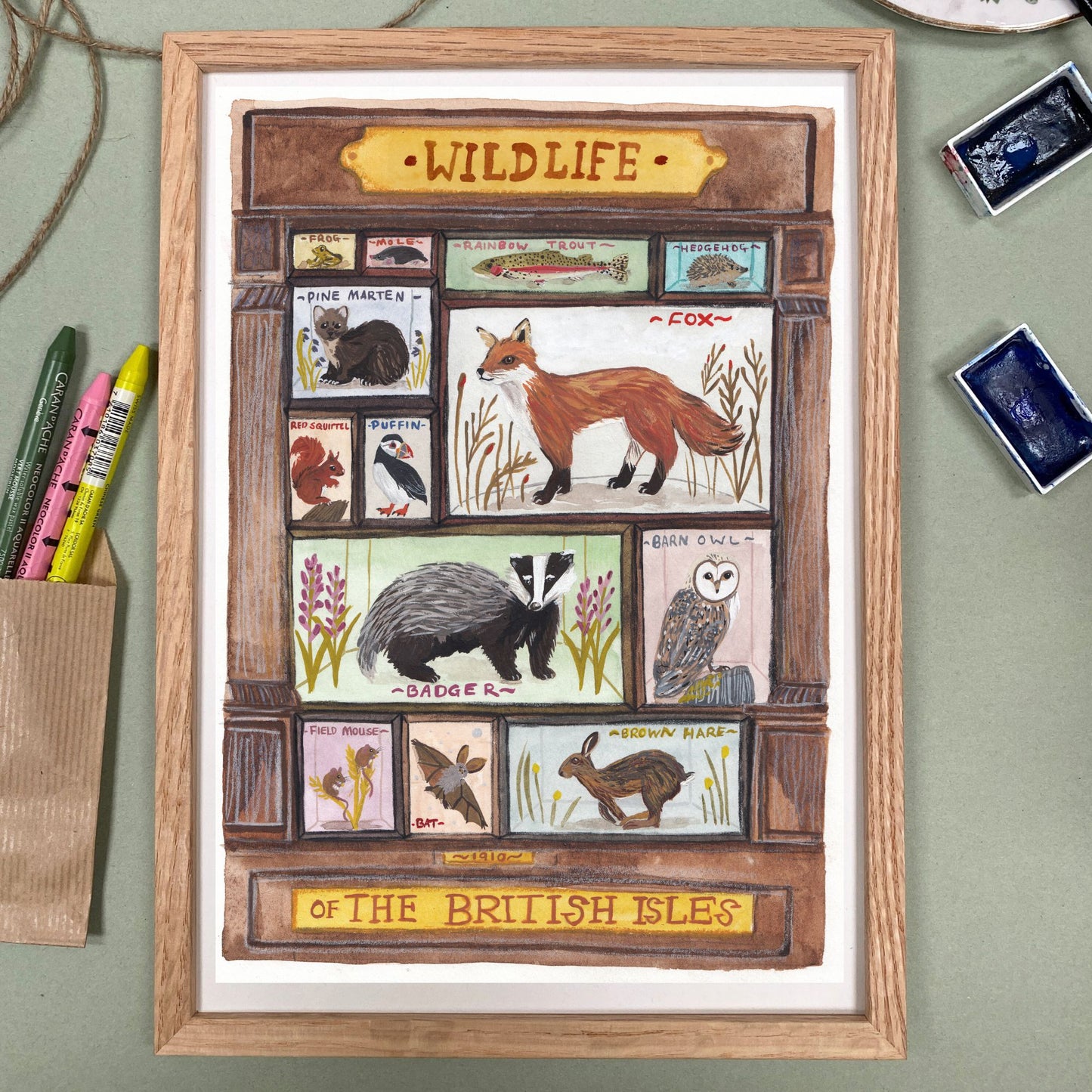 Framed artwork of wildlife illustrations from the British Isles with a wooden frame.
