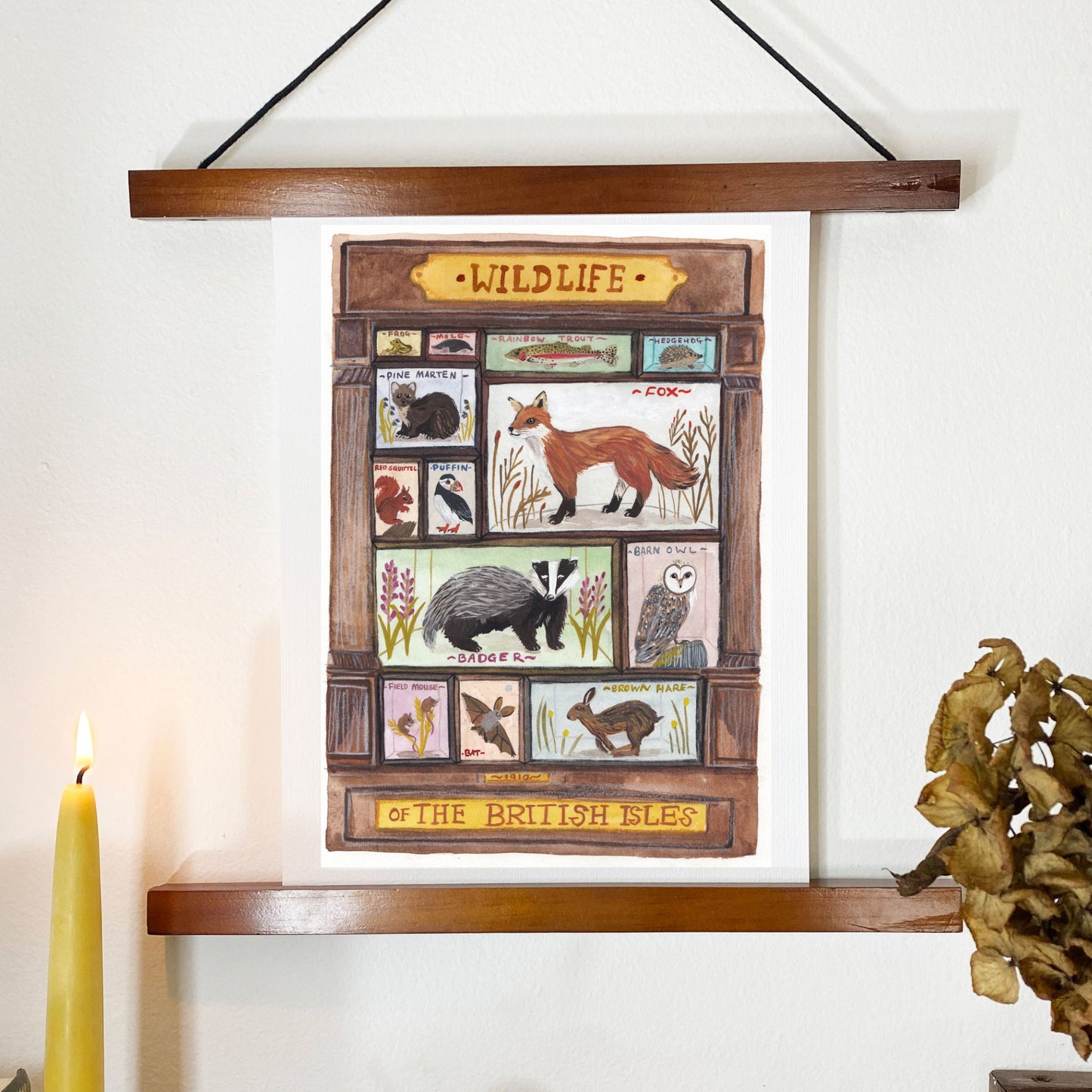 Framed artwork of wildlife illustrations on a white wall with decorative elements.