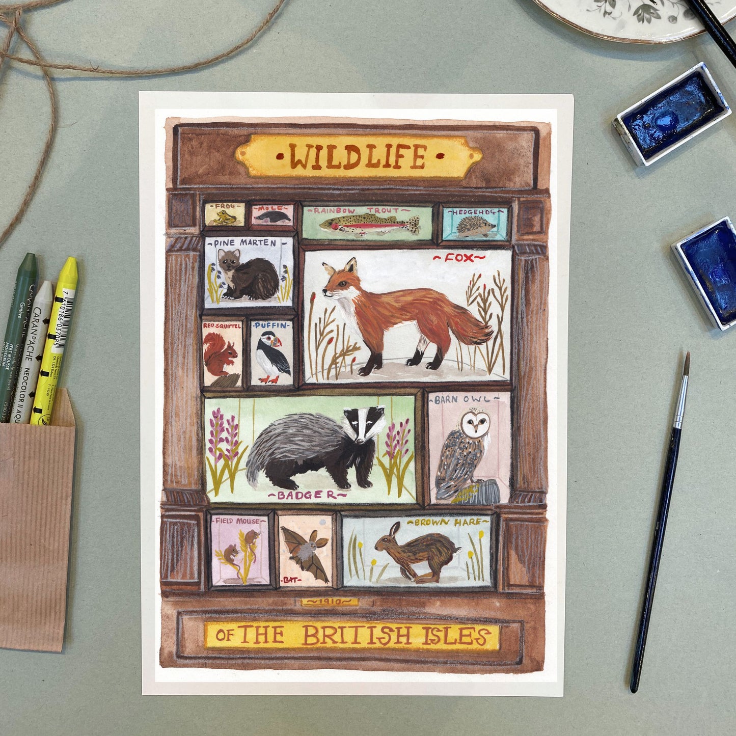 Illustration of a wildlife display case with British animals on a light green background.