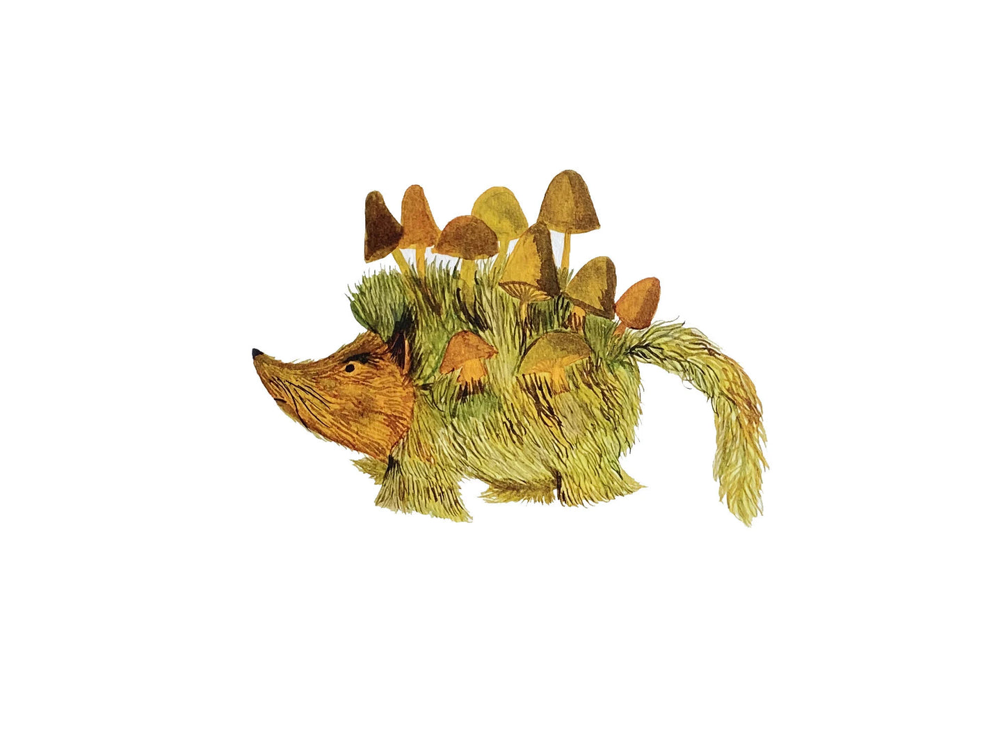 Moss Creatures Collection - Hogsnuff Hedgehog  - Print